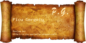 Picu Gergely névjegykártya
